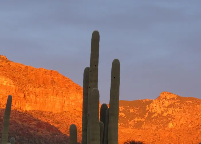Foothills Living * Tucson